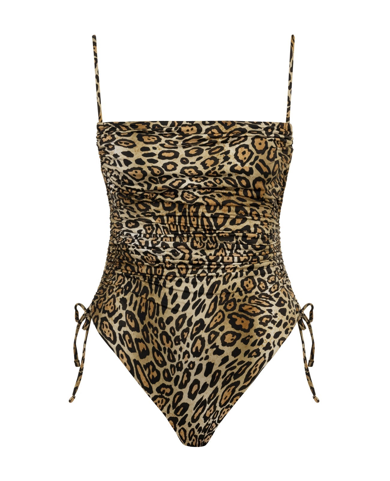 THE BODY CHEETAH